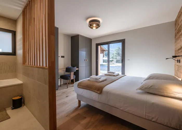 Avec Jacuzzi Et Animaux Admis, Vue Mont-blanc - Fr-1-343-259