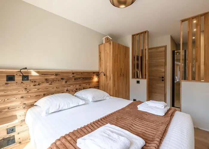 Avec Jacuzzi Et Animaux Admis, Vue Mont-blanc - Fr-1-343-259 Domek alpejski *