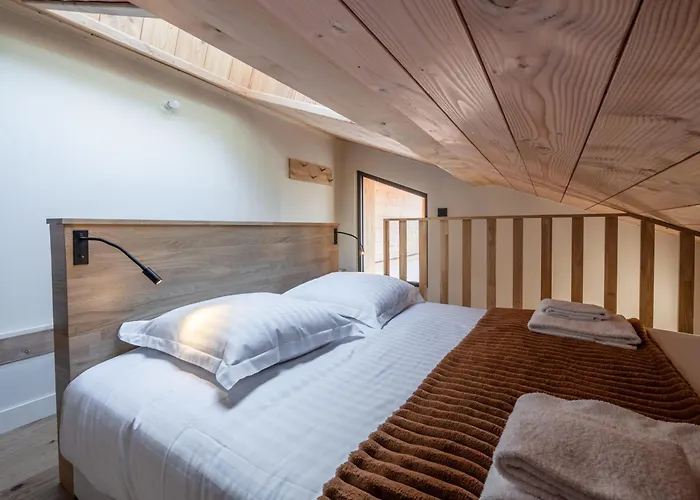 Chalet Avec Jacuzzi Et Animaux Admis, Vue Mont-blanc - Fr-1-343-259 Chamonix