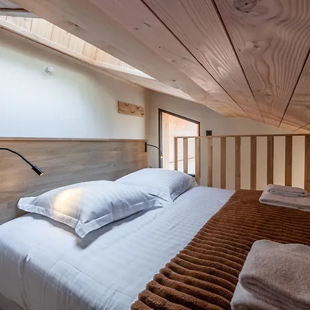 Avec Jacuzzi Et Animaux Admis, Vue Mont-blanc - Fr-1-343-259 Horská chata *